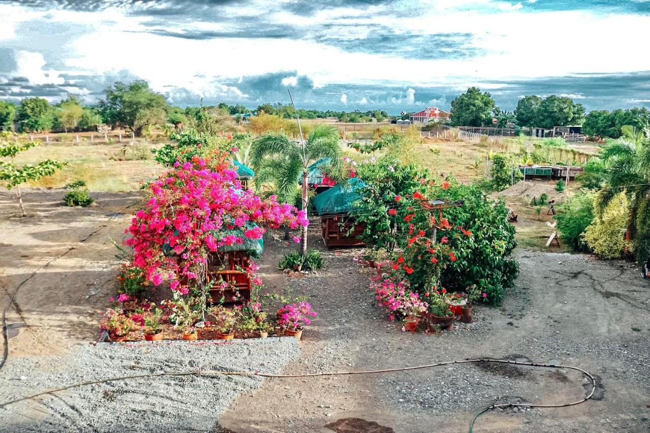 Airport View Hotel Vigan Dış mekan fotoğraf