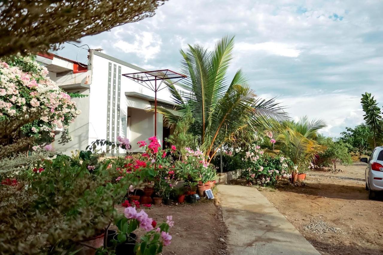 Airport View Hotel Vigan Dış mekan fotoğraf