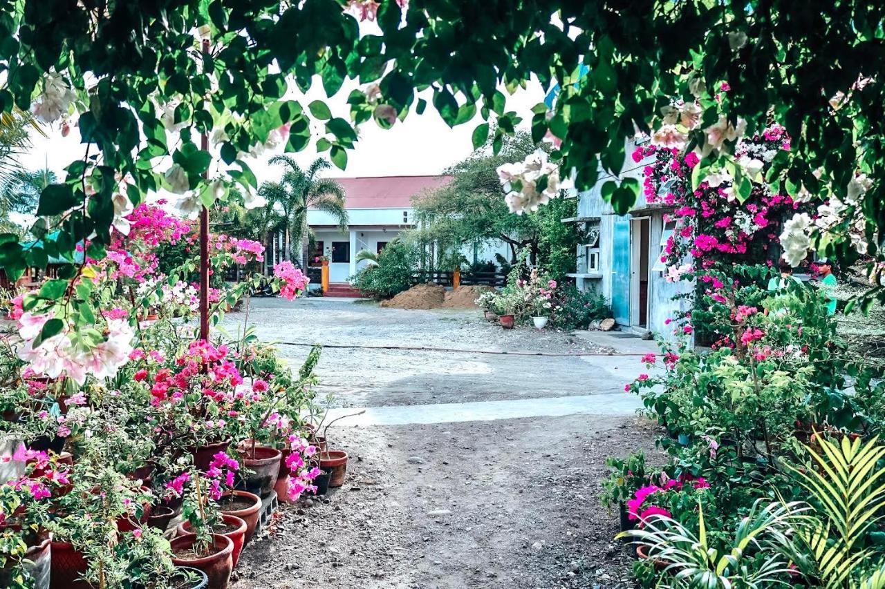 Airport View Hotel Vigan Dış mekan fotoğraf