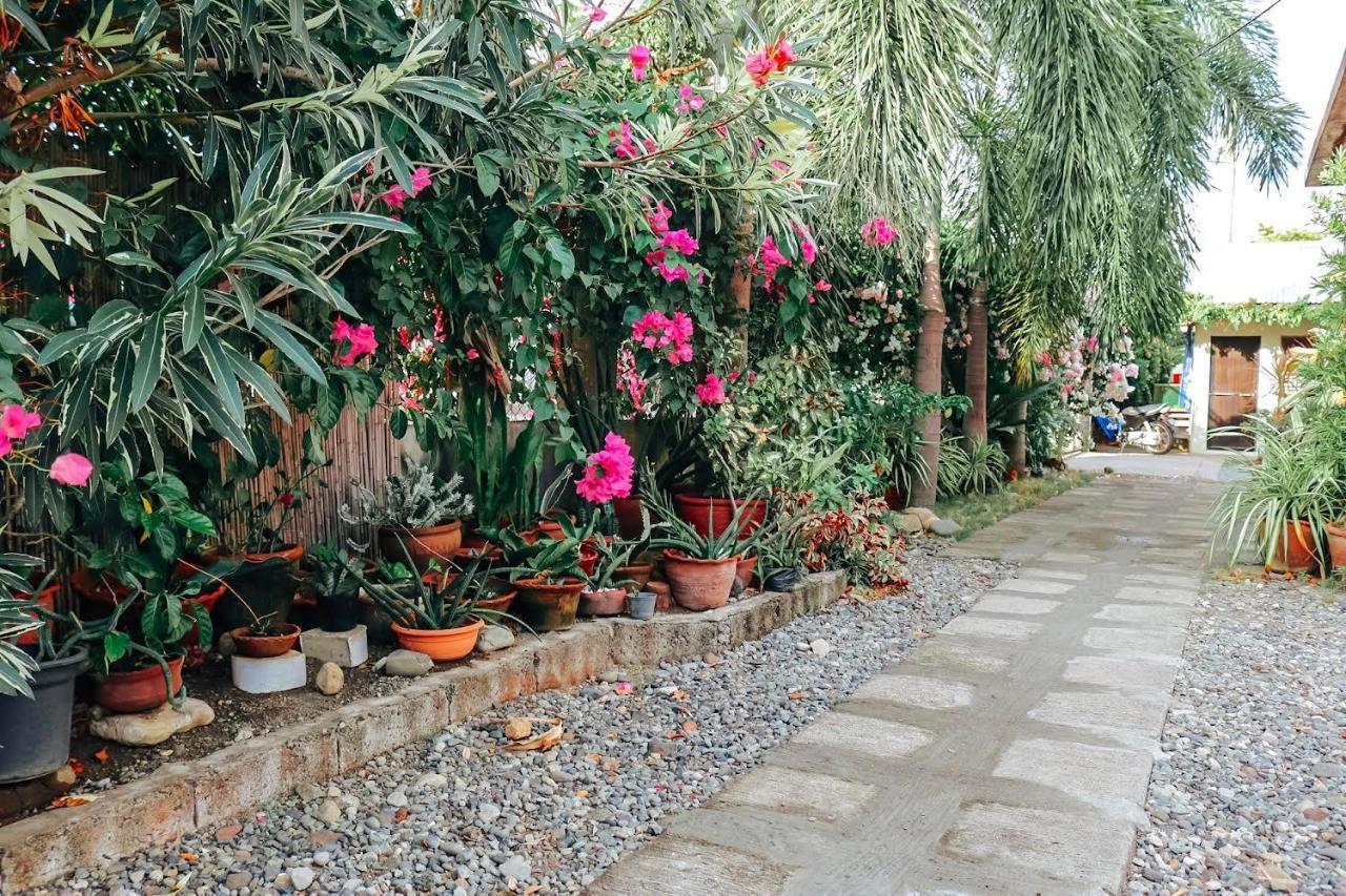 Airport View Hotel Vigan Dış mekan fotoğraf