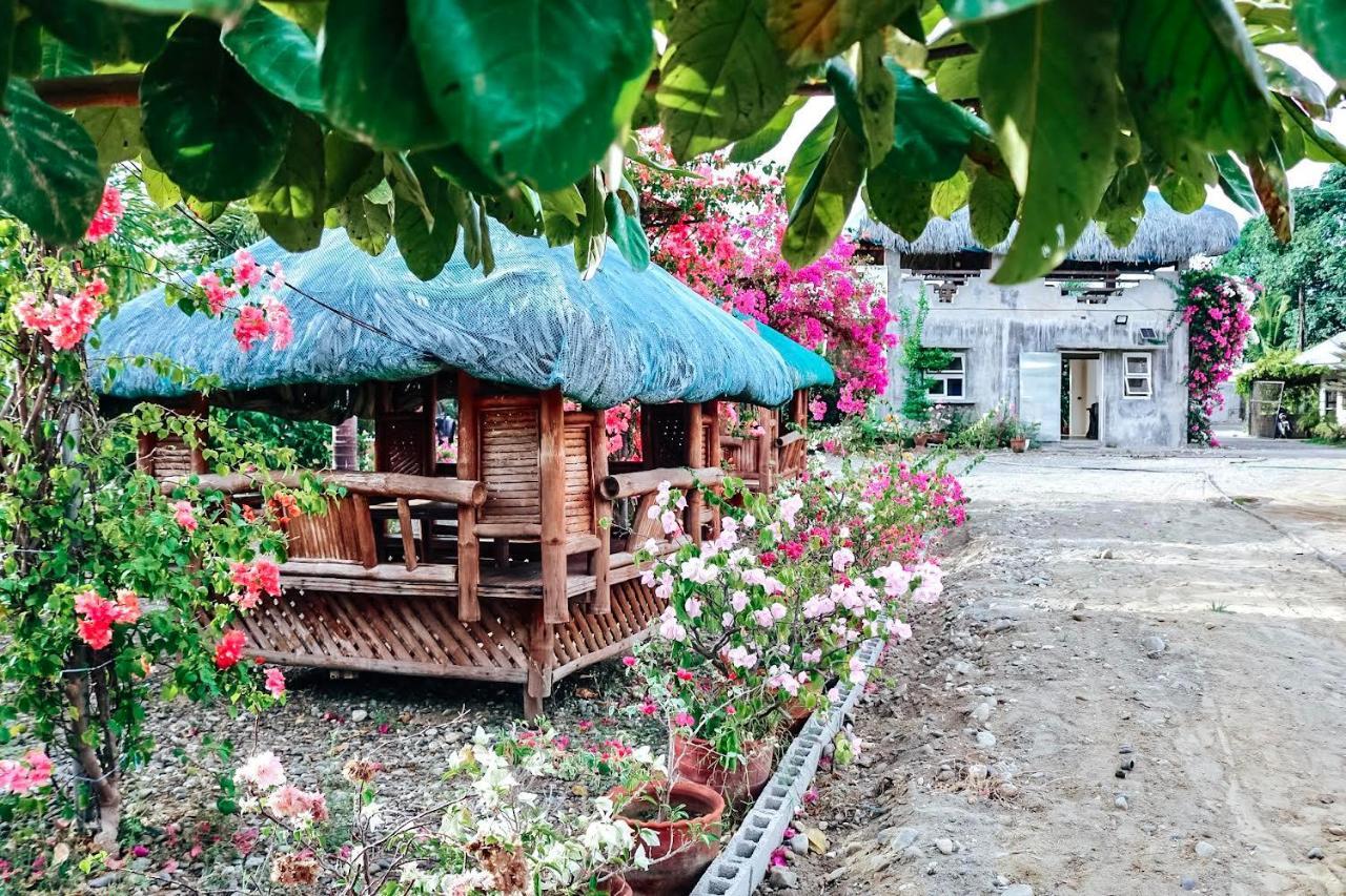 Airport View Hotel Vigan Dış mekan fotoğraf